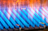Sisland gas fired boilers